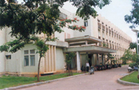 anat.jpg